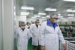 快樂購游大漠紅景區(qū) 枸杞田里拍大片 餐飲服務(wù)體驗全攻略