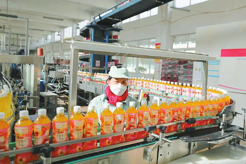 多產(chǎn)業(yè)協(xié)同發(fā)展 鋁產(chǎn)業(yè)、綠色家居與食品飲料等重點領(lǐng)域的建設(shè)與營商環(huán)境優(yōu)化